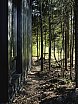 OLYMPUS DIGITAL CAMERA - Кровля
